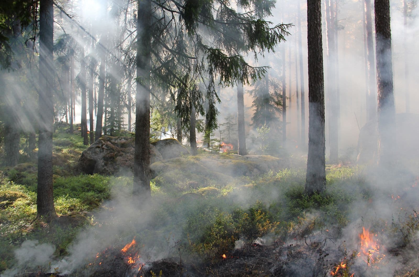 Wildfire AI Is a Climate-Risk Play, Not a Tech Novelty